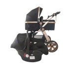 2-in-1 Travel System Factory - High Landscape Foldable Pram
