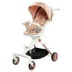 Pushchair Manufacturer - Stylish Modern Convenient Travel