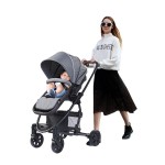 Umbrella Stroller Manufacturer - Reborn Mima Double Stroller
