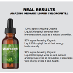 Factory OEM/ODM Chlorophyll Liquid Nature's Products Dietary Supplement Natural Liquid Chlorophyll Drops
