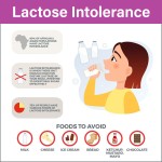 OEM Oral Liquid Probiotic Oil Drops With Lactobacillus Acidophilus Probiotic Supplement