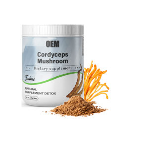 Organic Immune Support Memory Nootropic Brain Supplement Reishi Cordyceps Mushroom Lions Mane Mushroom Ganoderma Lucidum Powder