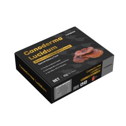 Customizable Brand Food Grade Supplements Ganoderma Lucidum Probiotics Freeze-dried Powder Reishi Vitamin Complex