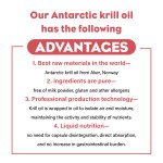 OEM Private Label Antarctic Krill Oil Drops with Astaxanthin Omega-3 EPA DHA Pure Premium Krill Oil Heavy Metal Tested Non GMO