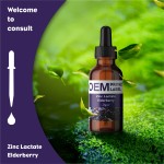 OEM Boost Immune Highly Concentrated Elderberry Zinc Lactate Liquid Drops for Kids Children OEM Formula