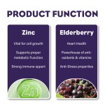 OEM Boost Immune Highly Concentrated Elderberry Zinc Lactate Liquid Drops for Kids Children OEM Formula