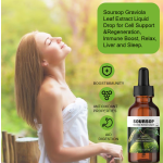 Custom Soursop Fruit and Leaf Supplement Soursop Graviola Leaf Extract Liquid Drop for Cell Support Regeneration