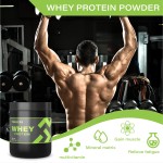 Wholesale Optimum Nutrition Whey Protein Isolate Powder Gym Supplement Lean Muscle Mass Whey Mass Gainer Powder