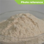 Manufacturers Wholesale Price Muscle Tech Whey Protein Powder Sports Supplements for Weight Gain Private Label