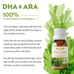 OEM Double Concentrate DHA From Algae Oil Drops DHA Omega 3 Fatty Acids Supplements for Kids & Adults
