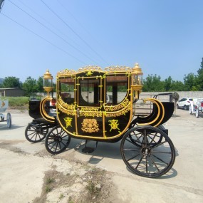 Electric Carriage Factory - 4 Wheel Special Transportation
