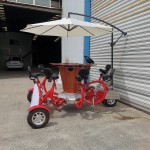 Surrey Bike Factory - 8 Passenger Party Conference