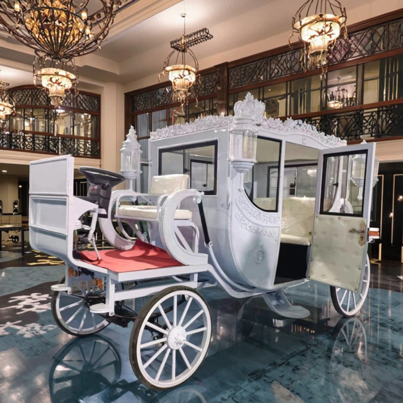 Tourist Cart Manufacturer - Luxury Electric Horse Drawn