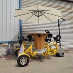 Surrey Bike Factory - 8 Passenger Party Conference