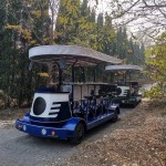 Beer Bike Manufacturer - 4 Wheel Electric Pedal Bus