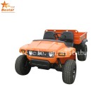 Electric Car Manufacturer - UTV Roadster Off Road