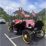 Electric Carriage Factory - 4 Wheel Sightseeing Wedding