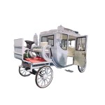 Tourist Cart Manufacturer - Luxury Electric Horse Drawn
