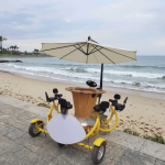 BE-S01A 8 seat BBQ Conference bike with rain cover