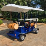 Beer Bike Manufacturer - Luxury Resort Party Sale