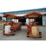 BE-S06 Mini 11 seat Cycle Pub