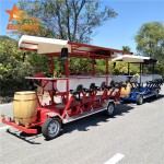 Pub Bike Manufacturer - Europe Beach Tour Sale