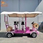 Pedal Car Manufacturer - 7 Person Electric Party