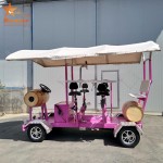 Party Bike Factory - Used Quadricycle Electric Bar