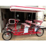 Surrey Bike Factory - Four Wheel 4 Person Baby Seat