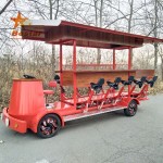 Beer Bike Factory - 15 Passenger Electric Beach