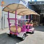 Party Bike Manufacturer - 4 Wheel 7 Person Bicycle