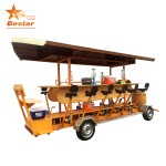 Beer Bike Manufacturer - 2018 Fifteen Person Design