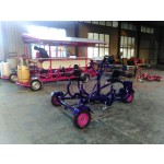 Party Bike Factory - Couple 7 Person Bicycle