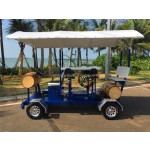 Rickshaw Factory - 4 People Pedaling Bicycle