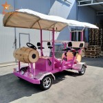 Surrey Bike Factory - 4 Seater Tour Bike