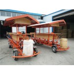 Party Bike Manufacturer - Four Wheel Tandem Pedal Bus
