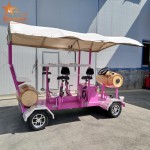 Beer Bike Manufacturer - Used Electric City Tour