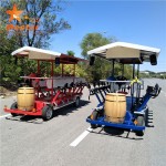 Electric Bike Manufacturer - 15 Seater Cargo Luggage