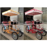 Surrey Bike Factory - Modern Tandem Two People