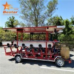 Electric Bike Manufacturer - 15 Seater Cargo Luggage