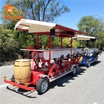 Pub Bike Manufacturer - Europe Beach Tour Sale