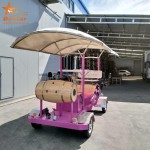 Electric Bike Manufacturer - Mini Leisure Pedal Bus