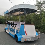 Party Bike Factory - 15 Seat Business Cycle