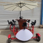 Surrey Bike Factory - 8 Passenger Party Conference