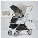 Baby Stroller Manufacturer - 2-in-1 Lying Sitting Two Way Push