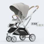 Baby Stroller Manufacturer - China Factory Strong 3 in 1 Big Wheels