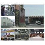 Baby Safety Harness Manufacturer - 5 Point Hot Sale Seat Belt