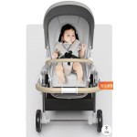 Baby Stroller Factory - Wholesale Folding Safe Walkers 0-3 Years