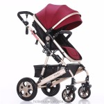 Baby Stroller Manufacturer - Tianrui Polyester Foldable Trolley