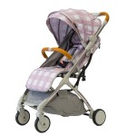 Baby Stroller Manufacturer - Stainless Steel Good Price Prams